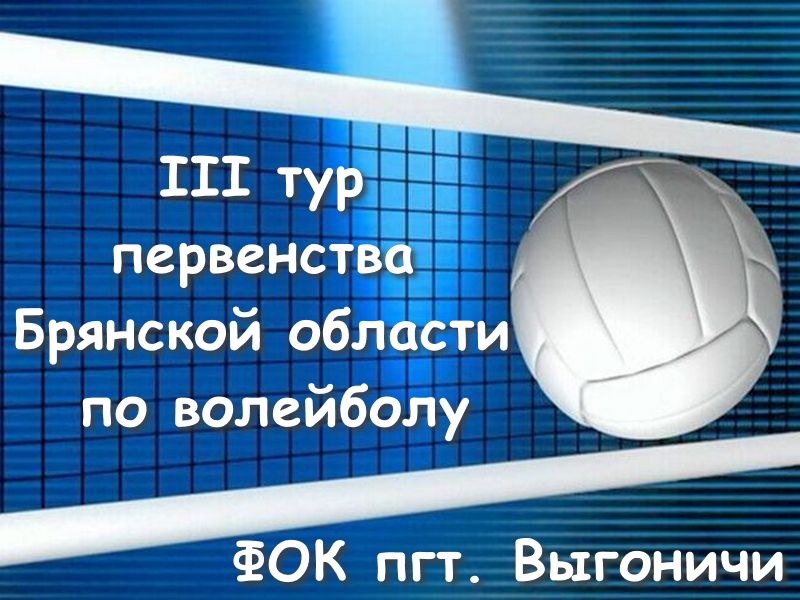 Первенство области по волейболу.