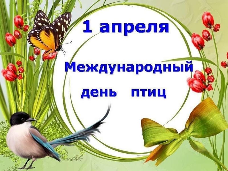 Международный день птиц.